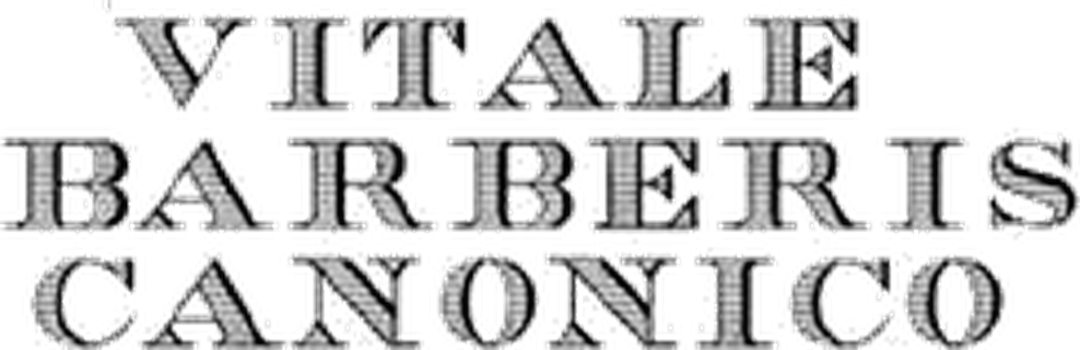 Vitale Barberis Canonico logo